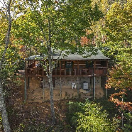 View! Cozy, Private, Fireplace, Hot Tub Log Cabin, Honeymoon! سيفيرفيل المظهر الخارجي الصورة