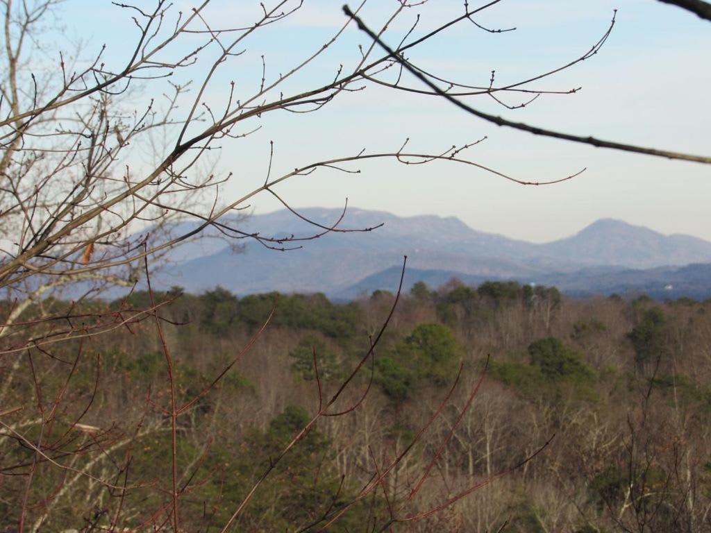 View! Cozy, Private, Fireplace, Hot Tub Log Cabin, Honeymoon! سيفيرفيل المظهر الخارجي الصورة