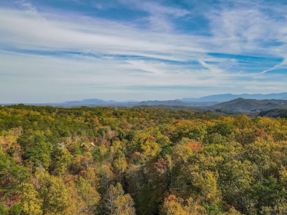 View! Cozy, Private, Fireplace, Hot Tub Log Cabin, Honeymoon! سيفيرفيل المظهر الخارجي الصورة