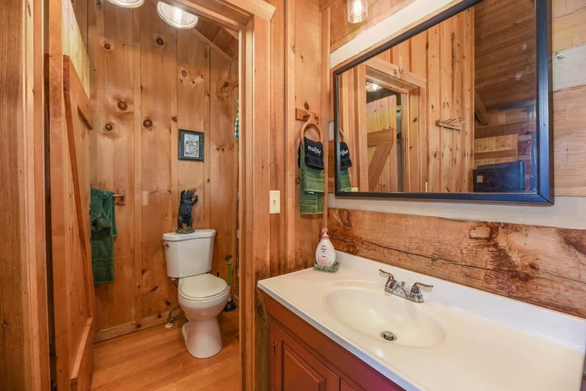 View! Cozy, Private, Fireplace, Hot Tub Log Cabin, Honeymoon! سيفيرفيل المظهر الخارجي الصورة