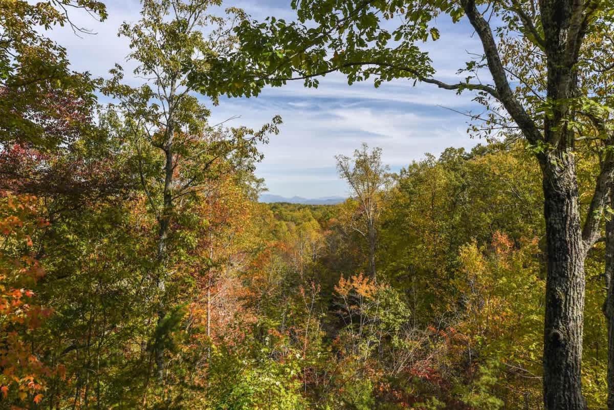 View! Cozy, Private, Fireplace, Hot Tub Log Cabin, Honeymoon! سيفيرفيل المظهر الخارجي الصورة